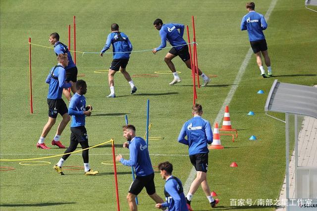 赫内斯在邻里树木纠纷中获胜